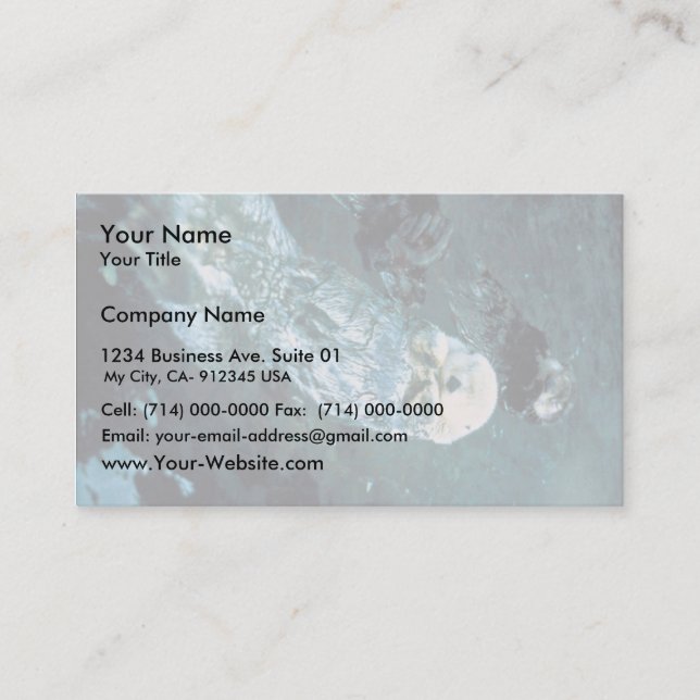 Southern Sea Otters Business Card (Front)
