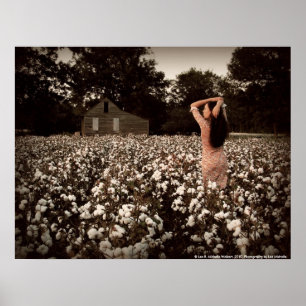 Southern Serenity Poster