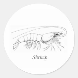 Southern Shrimp Line Art Logo Classic Round Sticker