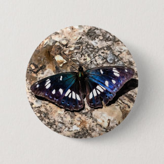 Southern White Admiral Blue Butterfly Painting 6 Cm Round Badge