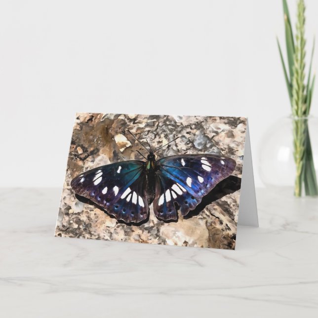 Southern White Admiral Blue Butterfly Painting Card (Front)