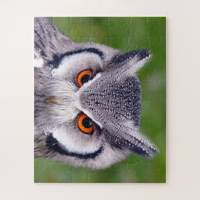 Southern White Faced Owl Birds-of-Prey Puzzle (Vertical)