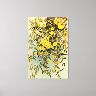 Southern Wildflower Carolina Jasmine Art Canvas Print