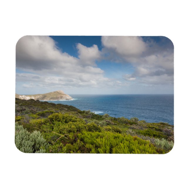 Southwest Australia, Albany Magnet (Horizontal)