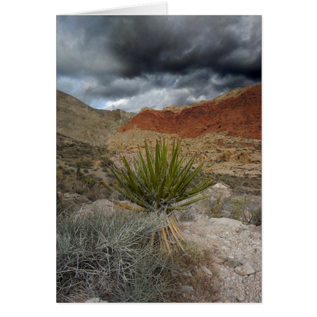 Southwest Blank All Occasion Greeting Card (Front)