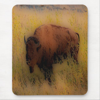 'Southwest Buffalo of the Prarie' Mouse Pad