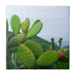 Southwest Cactus Prickly Pear Succulent Desert Tile<br><div class="desc">This design was created through digital art. It may be personalised by clicking the customise button and changing the colour, adding a name, initials or your favourite words. Contact me at colorflowcreations@gmail.com if you with to have this design on another product. Purchase my original abstract acrylic painting for sale at...</div>