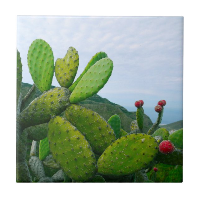 Southwest Cactus Prickly Pear Succulent Desert Tile (Front)