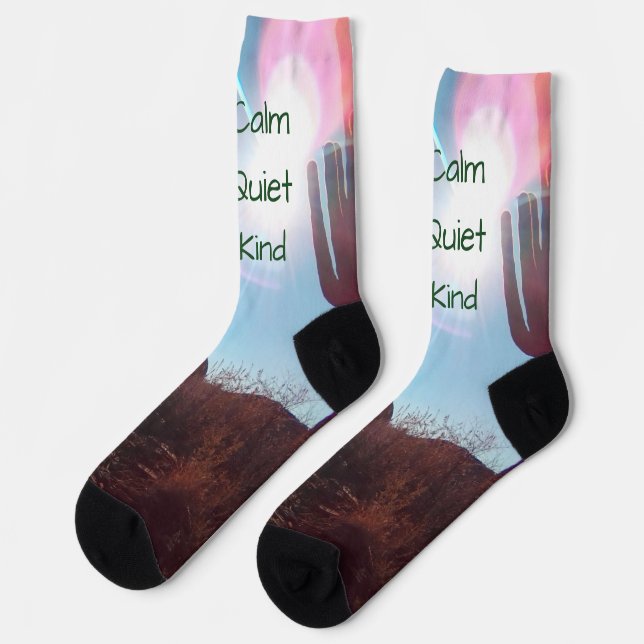 Southwest desert philosophy socks (Left)