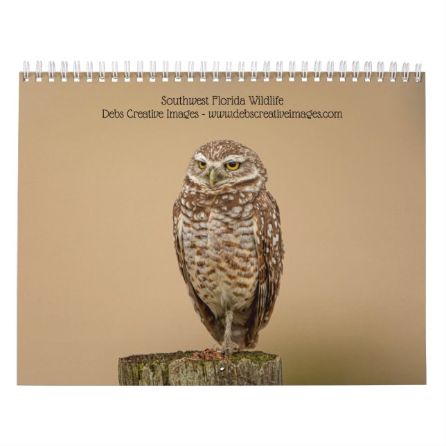 Southwest Florida Wildlife 2026 Calendar (Cover)