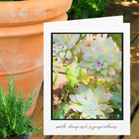 Southwest Ghost plant Deepest Sympathy Card