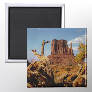 Southwest Monument Valley desert scene Magnet