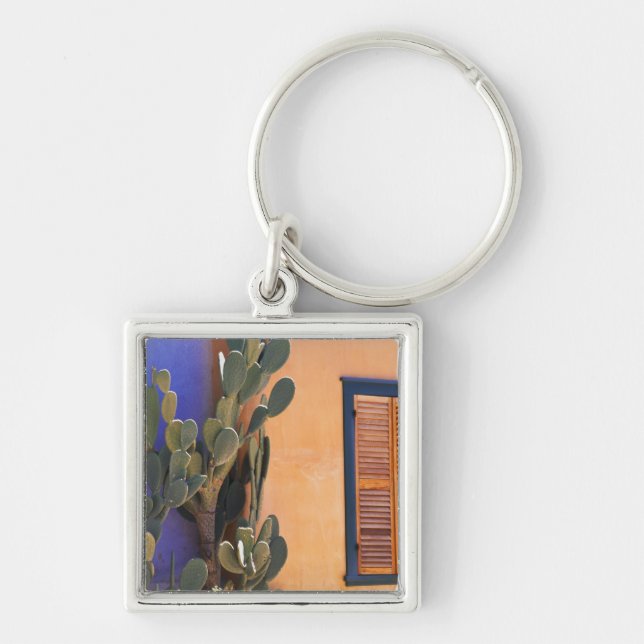 Southwestern Cactus (Opuntia dejecta) and Key Ring (Front)