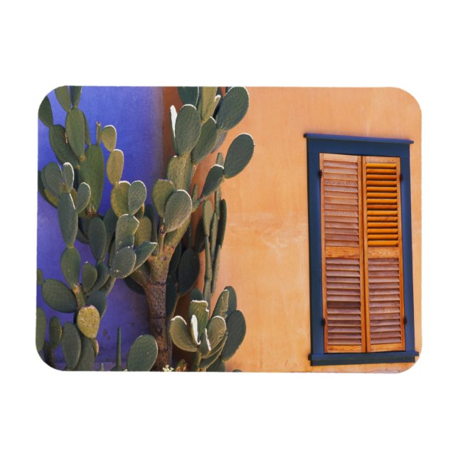 Southwestern Cactus (Opuntia dejecta) and Magnet (Horizontal)