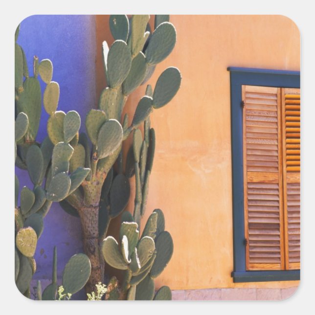 Southwestern Cactus (Opuntia dejecta) and Square Sticker (Front)
