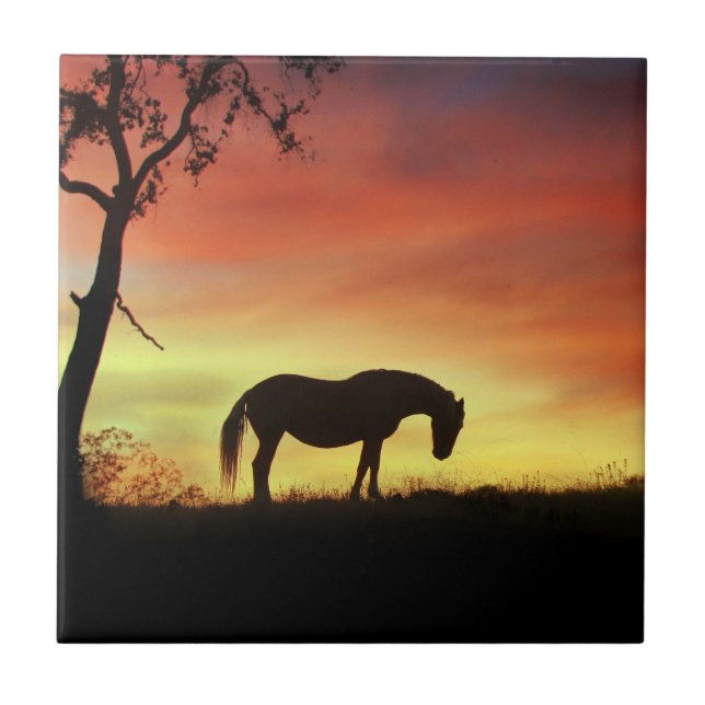 Southwestern Colour Horse in Sunrise Tile (Front)