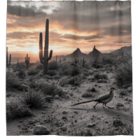 Southwestern Desert Roadrunner at Sunrise