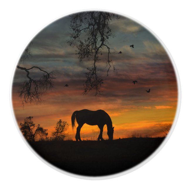 Southwestern Horse Knobs and Pulls Decor (Front)