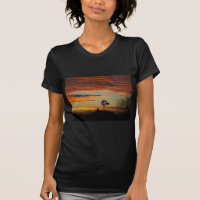 Southwestern sunset