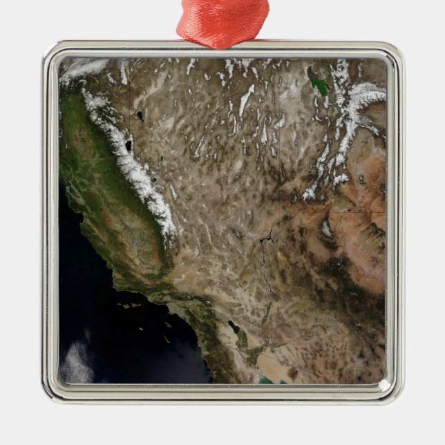 Southwestern United States Metal Tree Decoration (Front)