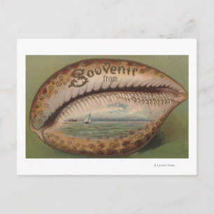 Souvenir From #5 - Any City, State Postcard