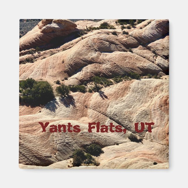 Souvenir Magnet: Yants Flats, St. George, UT Magnet (Front)