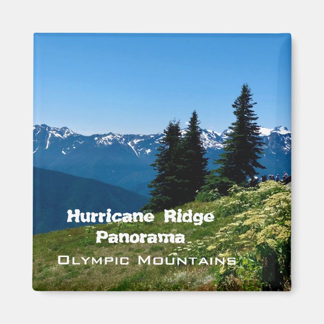 Souvenir Magnets: Hurricane Ridge-Olympic Mtns Magnet (Front)