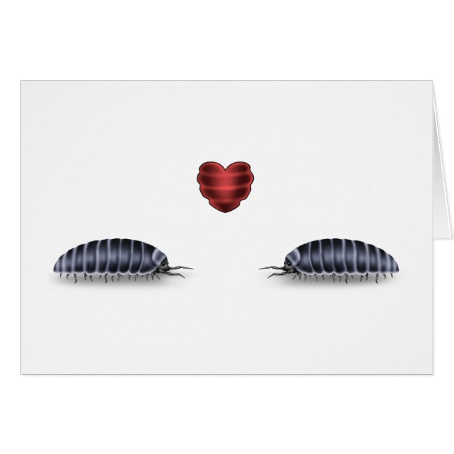 Sow Bug Luv (Lets Roll Togeather) (Front Horizontal)