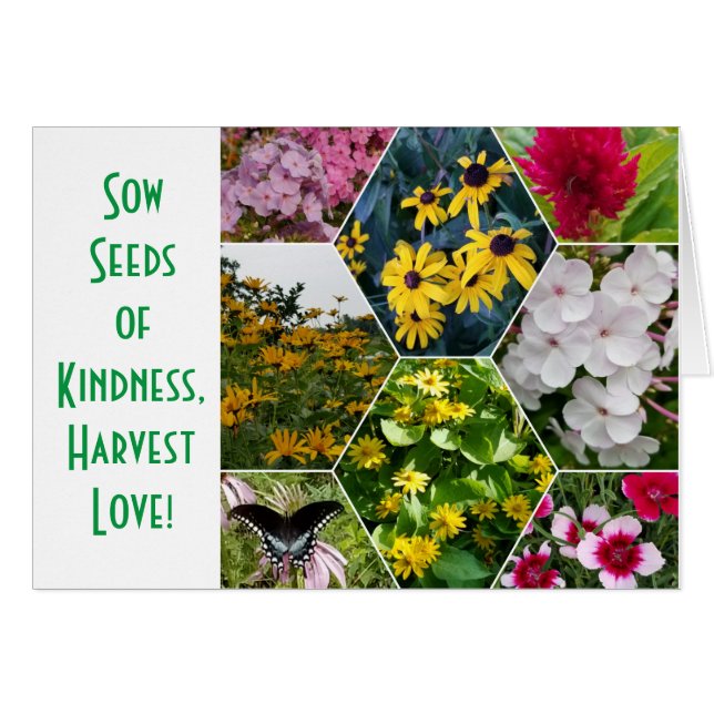 SOW SEEDS OF KINDNESS GREETING CARD (Front Horizontal)