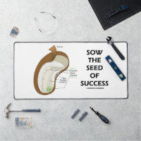 Sow The Seed Of Success Dicotyledon Bean Seed