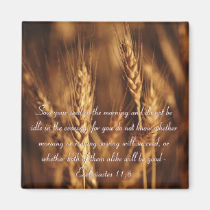Sow your seed...- Magnet