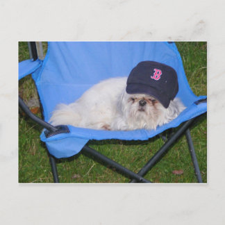 Sox Postcard