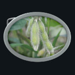 Soybean Plant Farming Rural Country Belt Buckles<br><div class="desc">Soybean Belt Buckle</div>