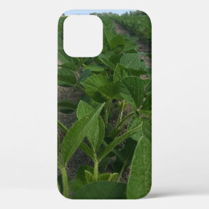 Soybean Rows Farming Agriculture Crops iPhone 12 Pro Case
