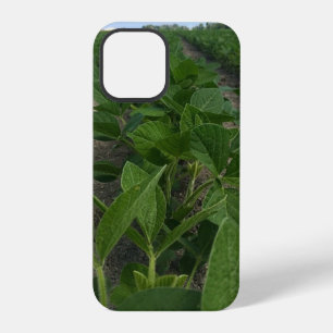Soybean Rows Farming Agriculture Crops iPhone 12 Pro Case