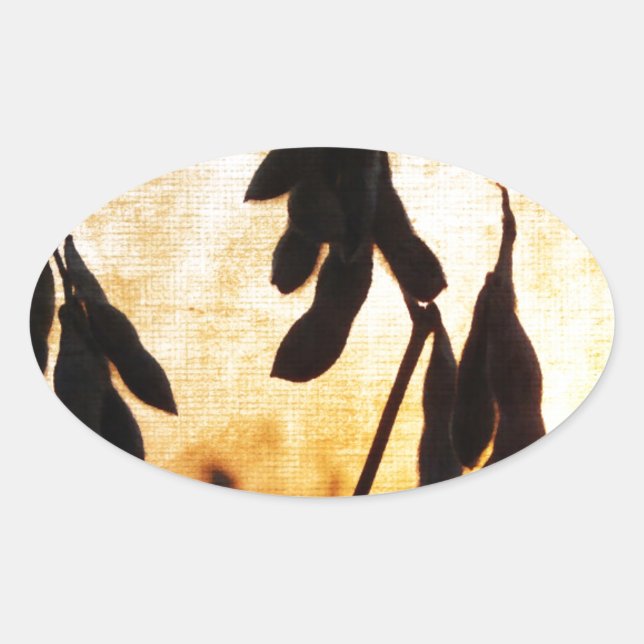 Soybean Sunset Oval Sticker (Front)