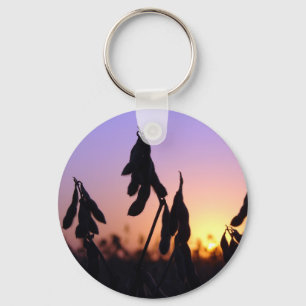 Soybeans at Sunset Key Ring