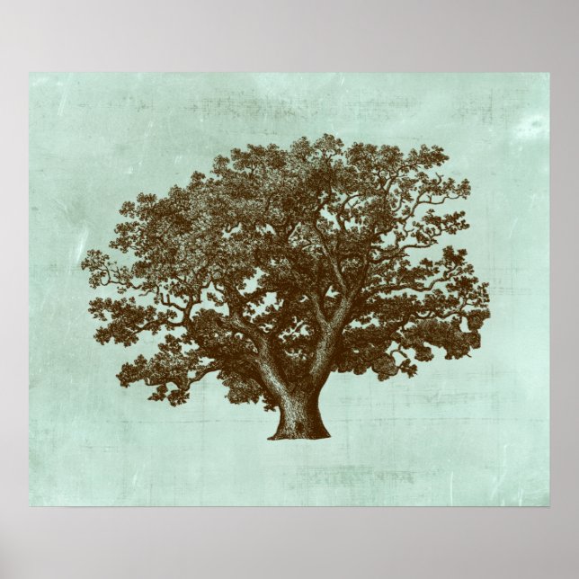 Spa Tree IV Poster (Front)