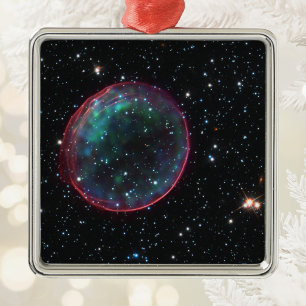 Space Bubble Photo Metal Tree Decoration