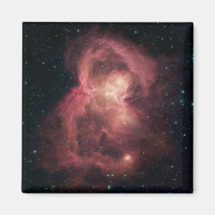 Space Butterfly Nebula Magnet