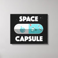 Space Capsule