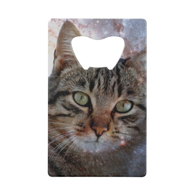 Space Cat (Front)