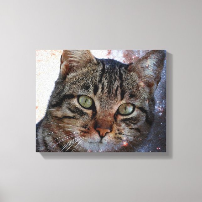 Space Cat Canvas Print (Front)