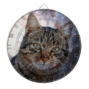 Space Cat Dartboard