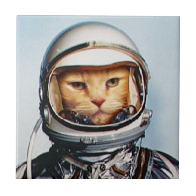 Space Cat Tile (Front)