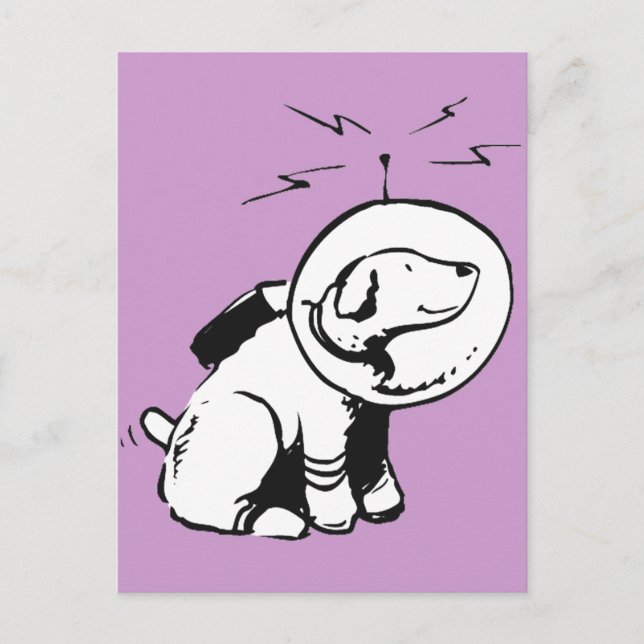 Space Dog Postcard (Front)