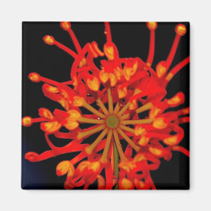 Space Flower Magnet