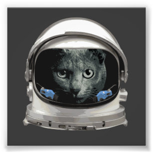 Space Helmet Astronaut Cat Photo Print
