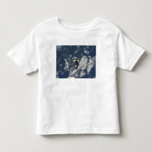 Space Shuttle Endeavour 10 Toddler T-Shirt