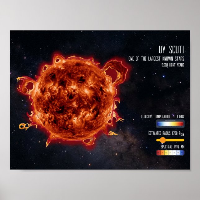 Space Stars Astronomy Biggest Star Science Info Poster (Front)